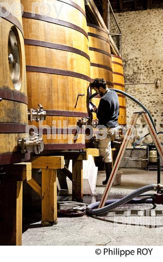 CUVIER, CHATEAU MONTUS, VIN AOC  MADIRAN, VIGNOBLES BRUMONT, GERS. (32F01112.jpg)