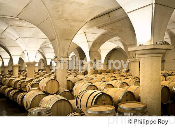 CHAI BARRIQUES, CHATEAU MONTUS, VIN AOC  MADIRAN, VIGNOBLES BRUMONT, GERS. (32F01118.jpg)