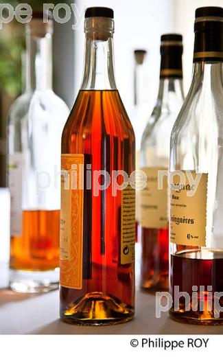 BOUTEILLES DE VIEIL ARMAGNAC,  GERS. (32F01209.jpg)