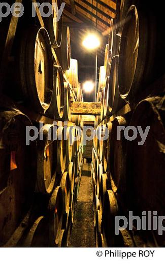 CHAI DE VIEILLISSEMENT ARMAGNAC,  CHATEAU DE LAUBADE,  BAS-ARMAGNAC, GERS. (32F01215.jpg)