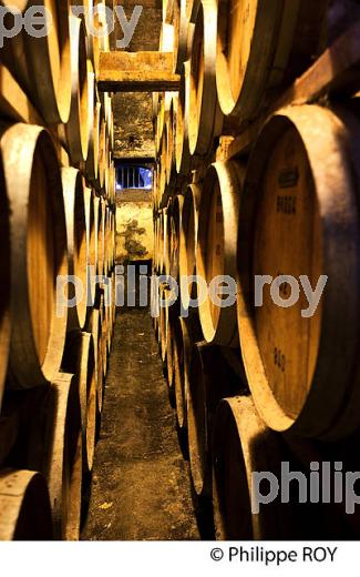 CHAI DE VIEILLISSEMENT ARMAGNAC,  CHATEAU DE LAUBADE,  BAS-ARMAGNAC, GERS. (32F01216.jpg)