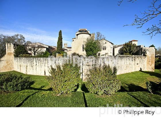 VILLAGE FORTIFIE DE LARRESSINGLE, GASCOGNE, GERS. (32F01721.jpg)