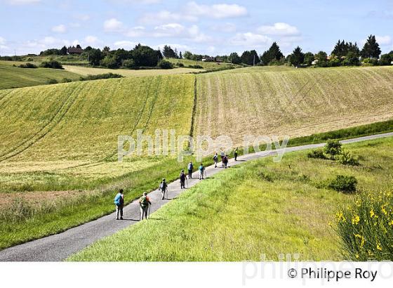 RANDONNEE PEDESTRE, GERS, GASCOGNE. (32F02003.jpg)