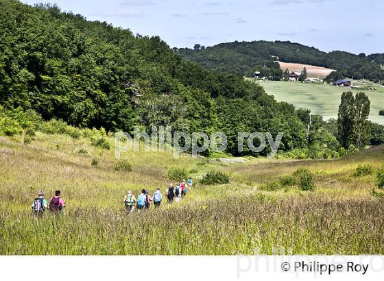 RANDONNEE PEDESTRE, GERS, GASCOGNE. (32F02005.jpg)