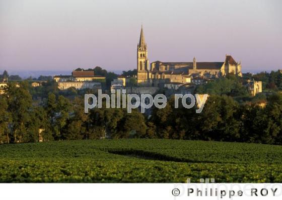 Saint Emilion (33F00103.jpg)