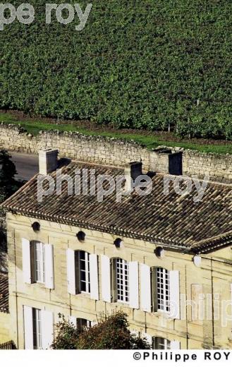 Saint Emilion (33F00123.jpg)