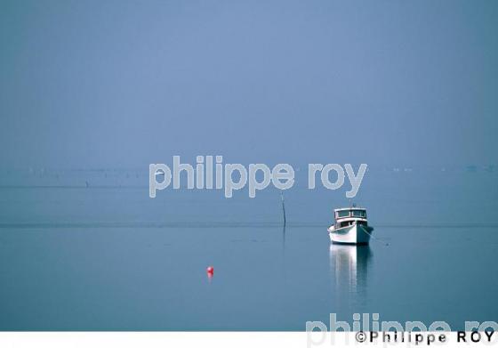 Bassin d'Arcachon (33F02201.jpg)