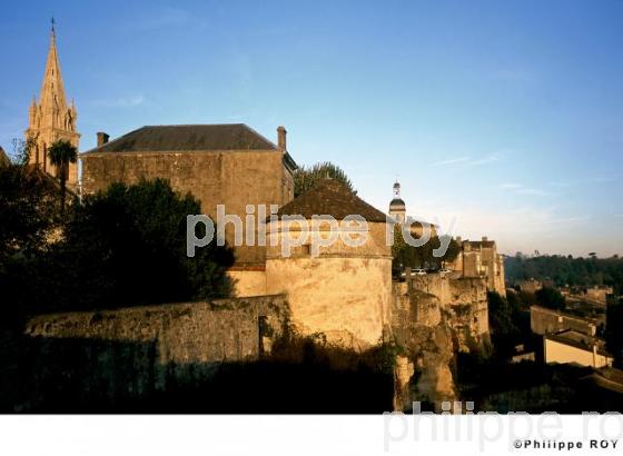 Bourg sur Gironde (33F03608.jpg)