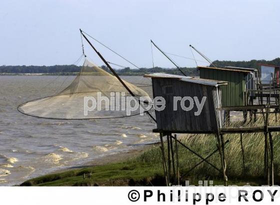 L'estuaire de la Gironde (33F04427.jpg)