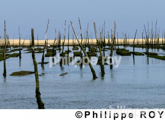 Bassin d'Arcachon (33F05012.jpg)