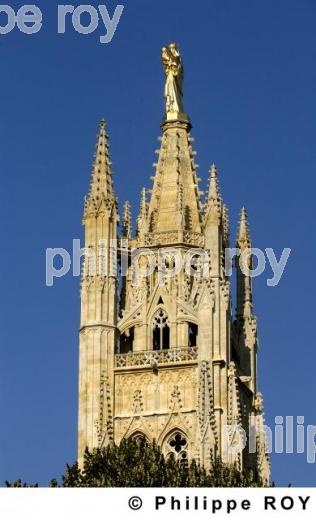 Cathdrale Saint Andr - Bordeaux (33F05723.jpg)