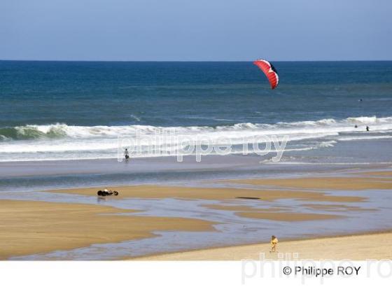Cte Atlantique - Gironde (33F12322.jpg)