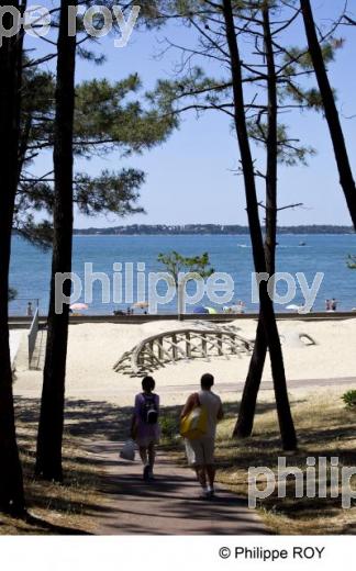 Bassin d' Arcachon - Gironde (33F13301.jpg)