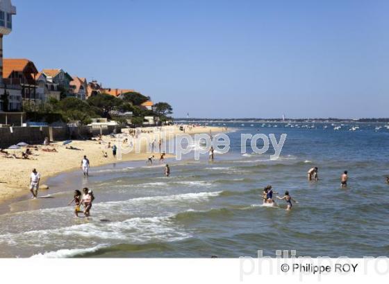 Bassin d' Arcachon - Gironde (33F13405.jpg)