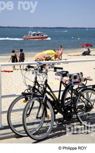 Bassin d' Arcachon - Gironde (33F13506.jpg)