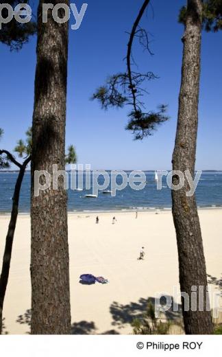 Bassin d' Arcachon - Gironde (33F13509.jpg)