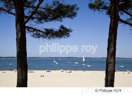 Bassin d' Arcachon - Gironde (33F13512.jpg)
