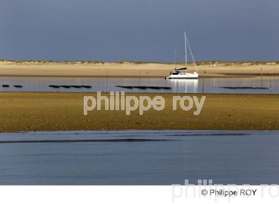 Bassin d' Arcachon - Gironde (33F13810.jpg)