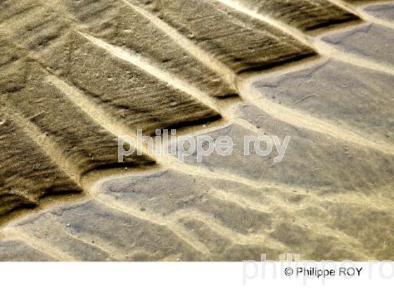 BANC DE SABLE, EMBOUCHURE DE L'ESTUAIRE DE LA GIRONDE, FRANCE (33F15337.jpg)