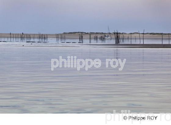 Bassin d' Arcachon - Gironde (33F15705.jpg)