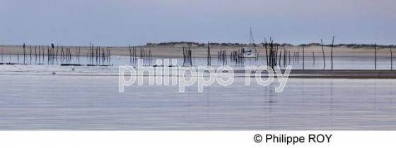 Bassin d' Arcachon - Gironde (33F15706.jpg)