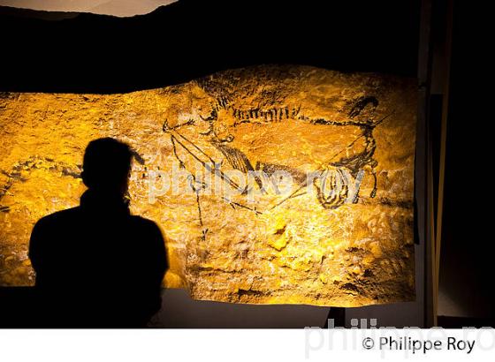 EXPOSITION LASCAUX 3 , CAP SCIENCES, BORDEAUX. (33F16840.jpg)