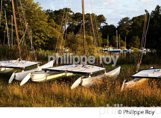LAC DE LACANAU, MEDOC, COTE ATLANTIQUE. (33F17312.jpg)