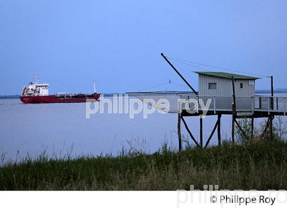 PETROLIER SUR L' ESTUAIRE DE LA GIRONDE, MEDOC, AQUITAINE. (33F17439.jpg)