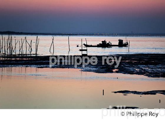 LEVER DU JOUR SUR LE BASSIN D' ARCACHON A PIRAILLAN, POINTE DU CAP FERRET, GIRONDE, AQUITAINE. (33F17530.jpg)
