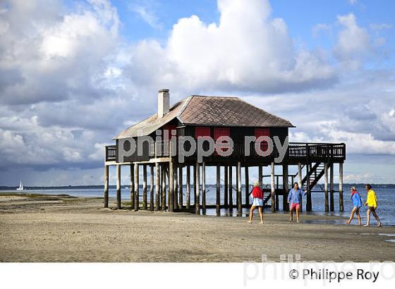 CABANE TCHANQUEE, ILE AUX OISEAUX, BASSIN D' ARCACHON, COTE D' ARGENT, GIRONDE. (33F17721.jpg)
