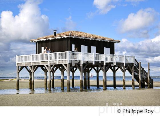 CABANE TCHANQUEE, ILE AUX OISEAUX, BASSIN D' ARCACHON, COTE D' ARGENT, GIRONDE. (33F17722.jpg)