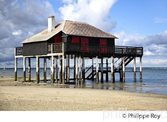 CABANE TCHANQUEE, ILE AUX OISEAUX, BASSIN D' ARCACHON, COTE D' ARGENT, GIRONDE. (33F17727.jpg)