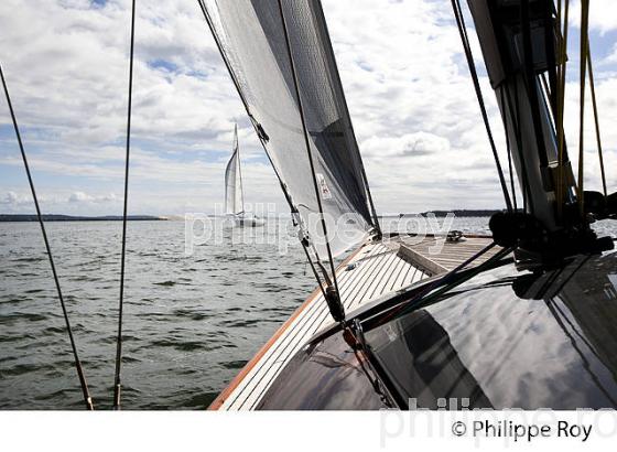 NAVIGATION A LA VOILE ,  BASSIN D' ARCACHON, COTE D' ARGENT, GIRONDE. (33F17809.jpg)