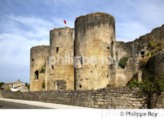 CHATEAU DE VILLANDRAUT, VALLEE DU CIRON, SUD GIRONDE, AQUITAINE. (33F17830.jpg)