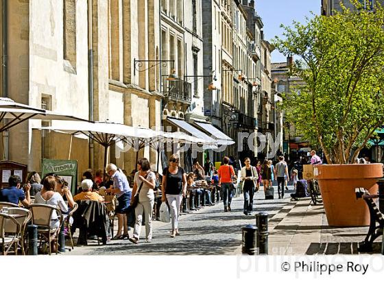 PLACE CAMILLE-JULLIAN, QUARTIER SAINT PIERRE, BORDEAUX, GIRONDE, AQUITAINE. (33F21738.jpg)