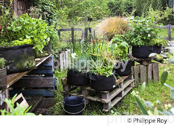 JARDIN URBAIN, ESPACE DARWIN, ECO-SYSTEME, CASERNE NIEL, QUARTIER DE LA BASTIDE , BORDEAUX. (33F25334.jpg)