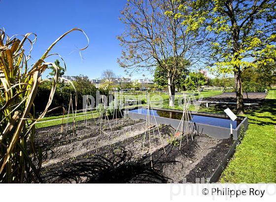 LE JARDIN BOTANIQUE , QUARTIER DE LA BASTIDE, VILLE DE BORDEAUX . (33F25434.jpg)