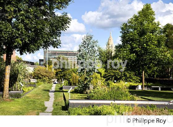 LE JARDIN BOTANIQUE , QUARTIER DE LA BASTIDE, VILLE DE BORDEAUX . (33F25438.jpg)