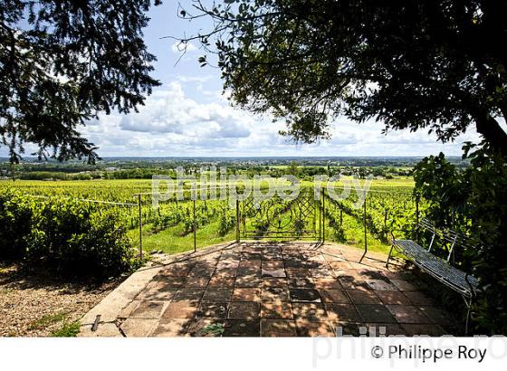 DOMAINE DE MALAGAR, FRANCOIS MAURIAC, SAINT MAIXANT, GIRONDE. (33F26004.jpg)