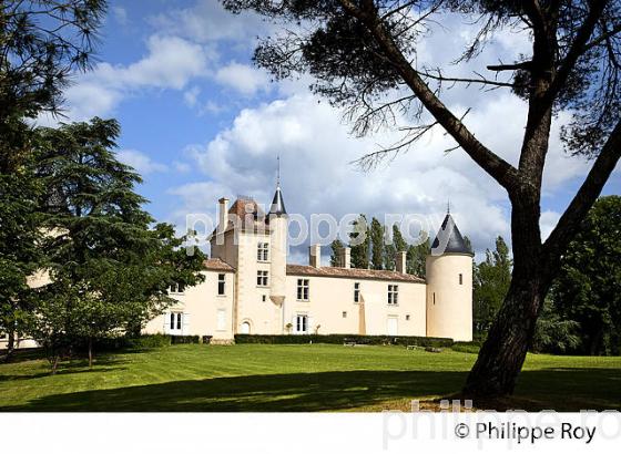 CHATEAU DE MALROME, TOULOUSE-LAUTREC,  SAINT ANDRE DU BOIS, ENTRE-DEUX-MERS, GIRONDE. (33F26038.jpg)