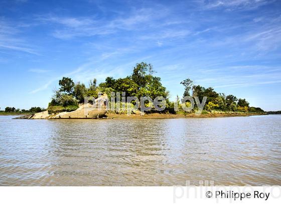 ILE MARGAUX ,ILES DE L' ESTUAIRE DE LA GIRONDE, AQUITAINE. (33F26402.jpg)