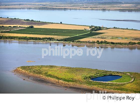 ILE DE PATIRAS , ILES DE L' ESTUAIRE DE LA GIRONDE, AQUITAINE. (33F26727.jpg)