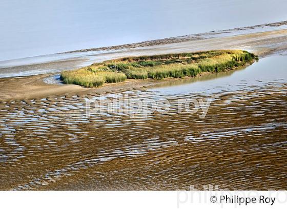 BANC DE SABLE, ESTUAIRE DE LA GIRONDE, BLAYE ,  AQUITAINE. (33F26808.jpg)