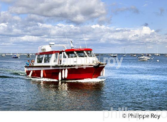 NAVETTE MARITIME , PRESQU' ILE DU CAP FERRET, BASSIN D' ARCACHON, GIRONDE. (33F27112.jpg)