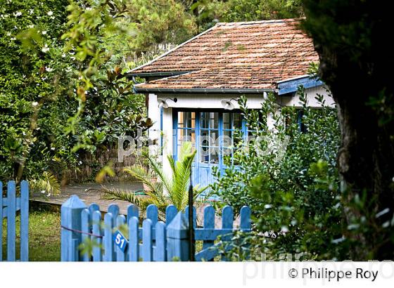 VILLA, QUARTIER DES 44 HECTARES, PRESQU' ILE DU CAP FERRET, BASSIN D' ARCACHON, GIRONDE. (33F27240.jpg)