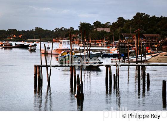 QUARTIER OSTREICOLE, MIMBEAU, BELISAIRE, PRESQU' ILE DU CAP FERRET, BASSIN D' ARCACHON, GIRONDE. (33F27325.jpg)