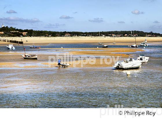 LAGUNE DU  MIMBEAU, BELISAIRE, PRESQU' ILE DU CAP FERRET, BASSIN D' ARCACHON, GIRONDE. (33F27338.jpg)