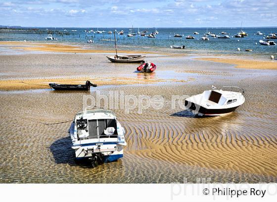 PLAGE DE  BELISAIRE, PRESQU' ILE DU CAP FERRET, BASSIN D' ARCACHON, GIRONDE. (33F27404.jpg)