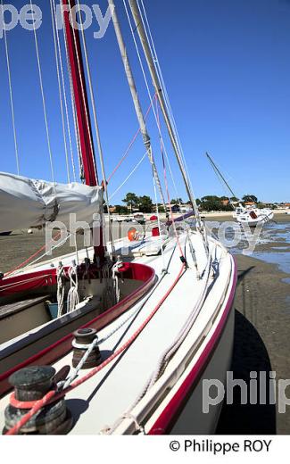 bATEAU A MAREE BASSE, PLAGE DE BELISAIRE, PRESQU' ILE DU CAP FERRET, BASSIN D' ARCACHON, GIRONDE. (33F27416.jpg)