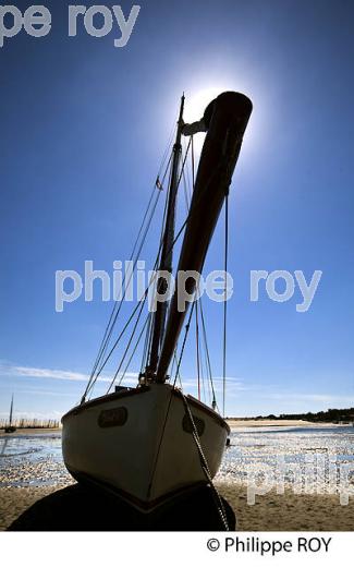 bATEAU A MAREE BASSE, PLAGE DE BELISAIRE, PRESQU' ILE DU CAP FERRET, BASSIN D' ARCACHON, GIRONDE. (33F27419.jpg)